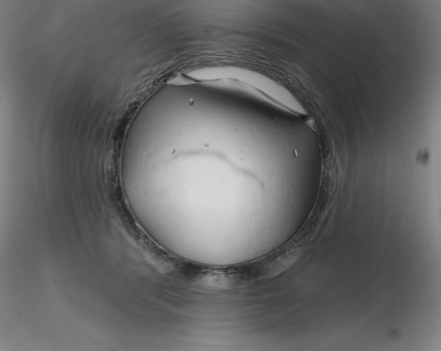 X0000116280416200912211823