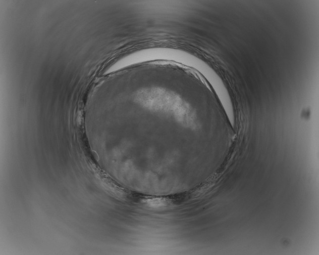 X0000116280417200912211823