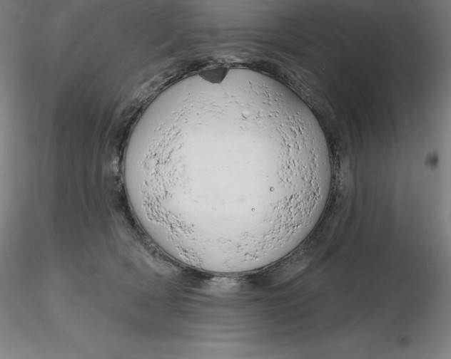 X0000116280418200912211823