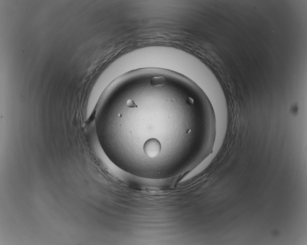 X0000116280419200912211823