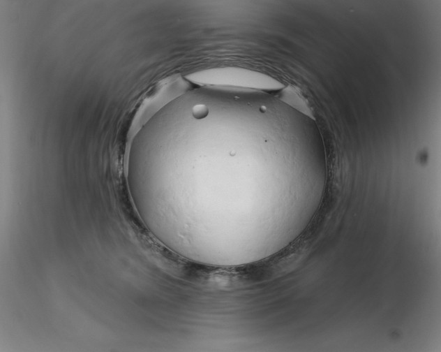 X0000116280420200912211823