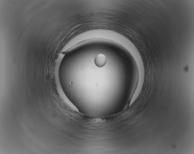 X0000116280421200912211823