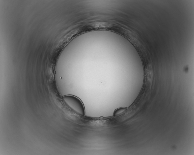 X0000116280422200912211823