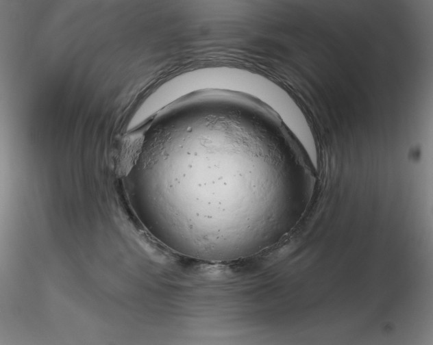 X0000116280424200912211823