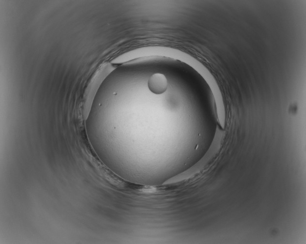 X0000116280425200912211823