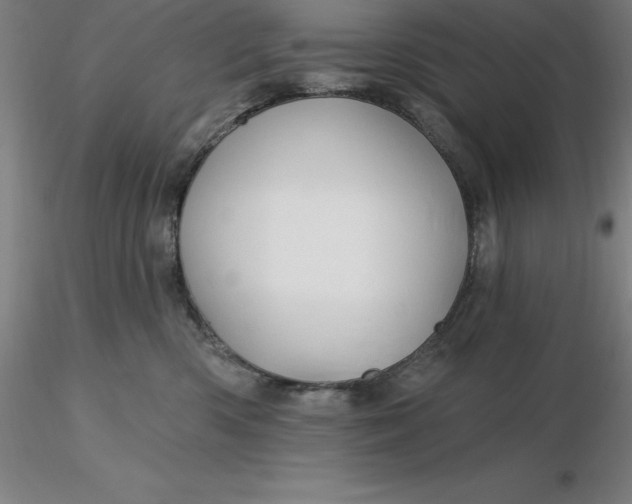 X0000116280426200912211823