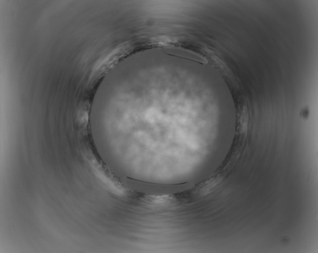 X0000116280427200912211823