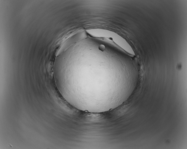 X0000116280428200912211823