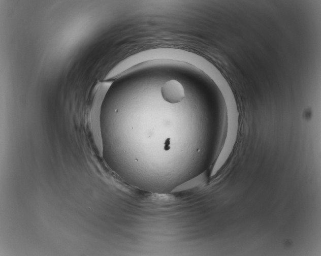 X0000116280429200912211823