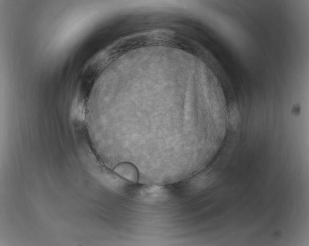 X0000116280431200912211823