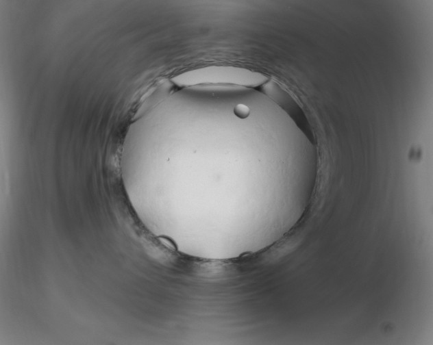 X0000116280432200912211823