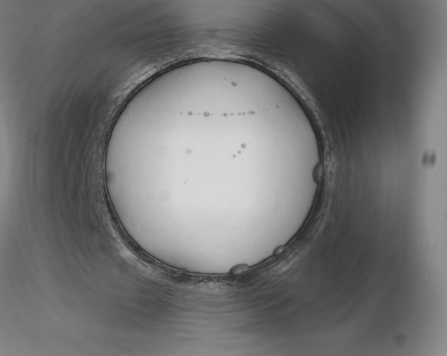 X0000116280433200912211822