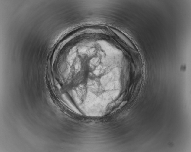 X0000116280434200912211822