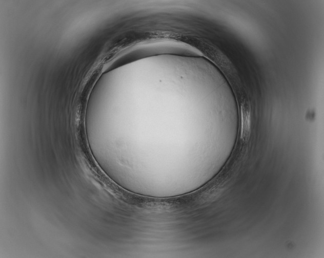 X0000116280435200912211822