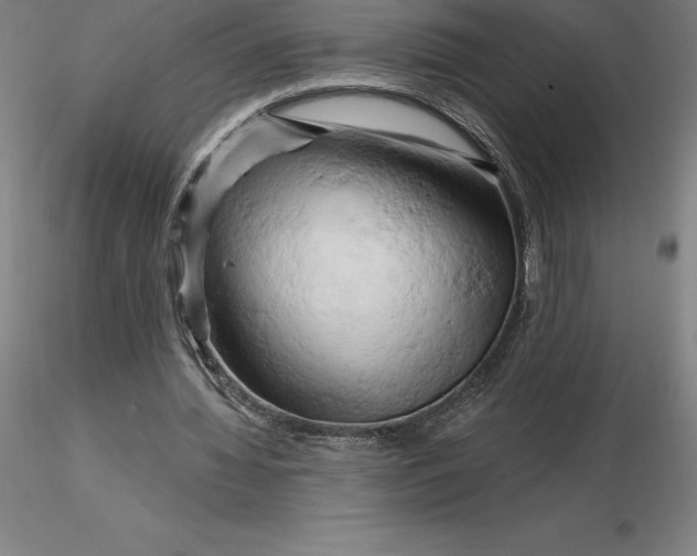 X0000116280436200912211822