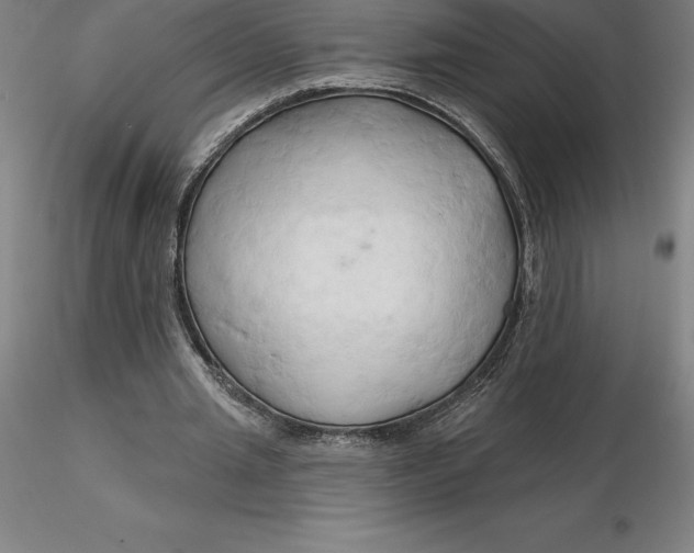 X0000116280437200912211822