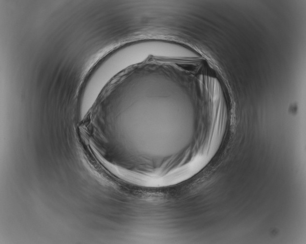 X0000116280438200912211822