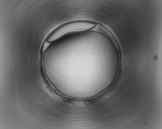 X0000116280439200912211822