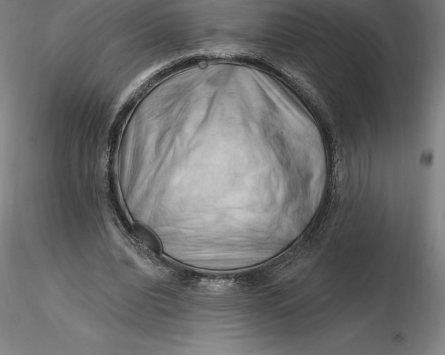 X0000116280440200912211822