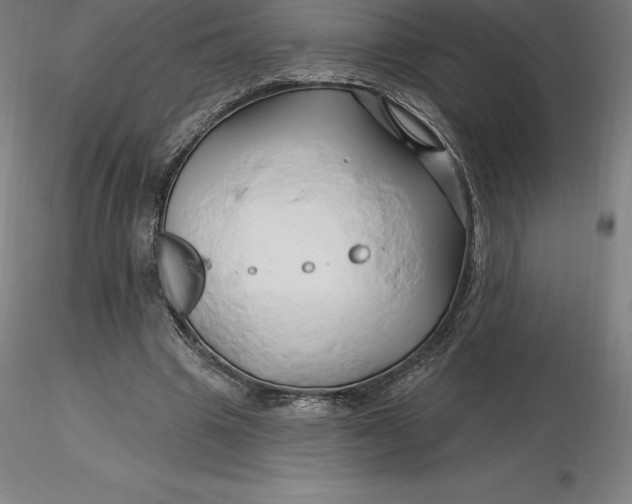 X0000116280441200912211822