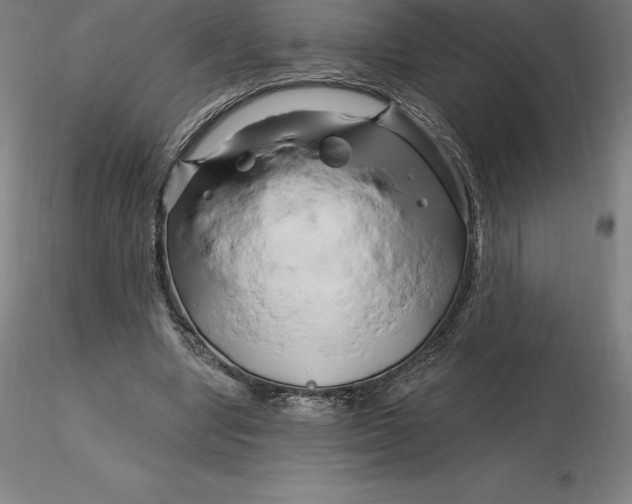 X0000116280442200912211822