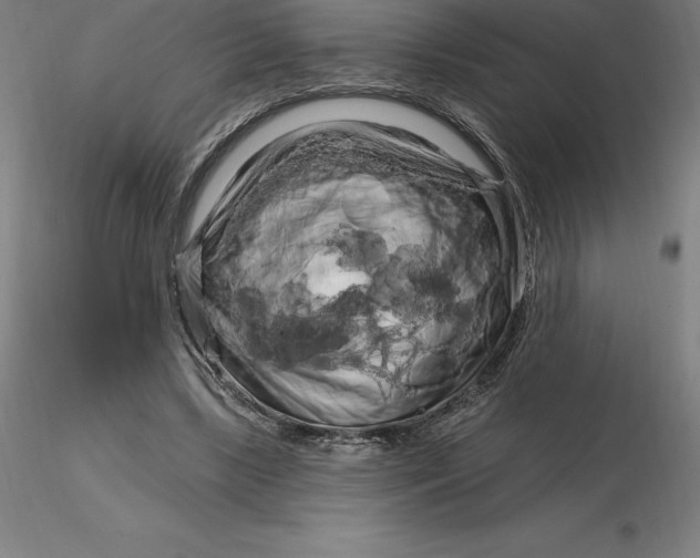 X0000116280443200912211822