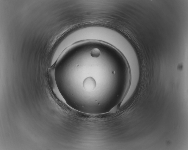 X0000116280444200912211822