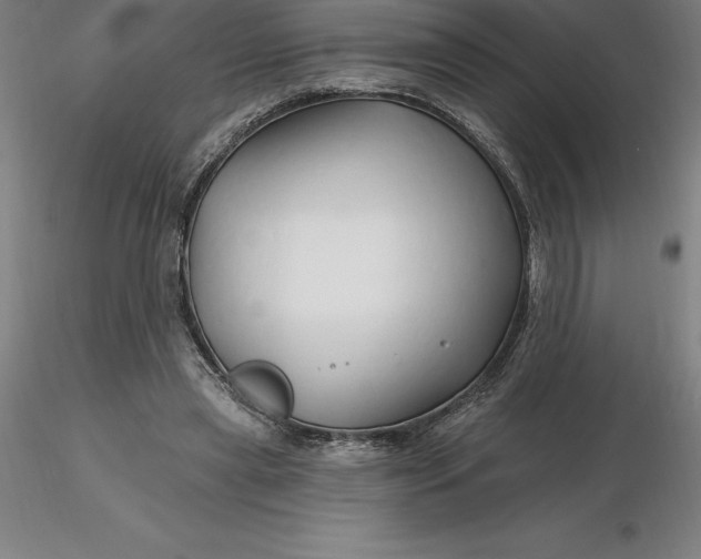 X0000116280445200912211822