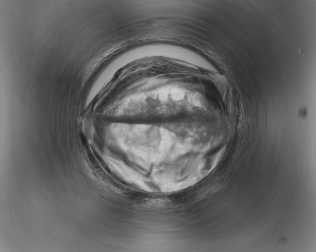 X0000116280446200912211822