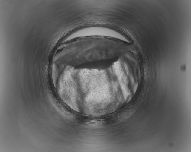 X0000116280447200912211822