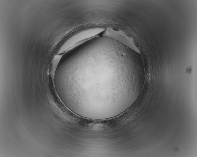 X0000116280448200912211822