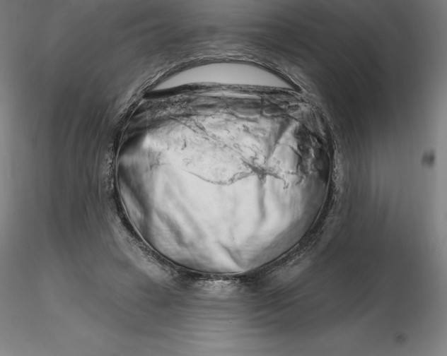 X0000116280449200912211822