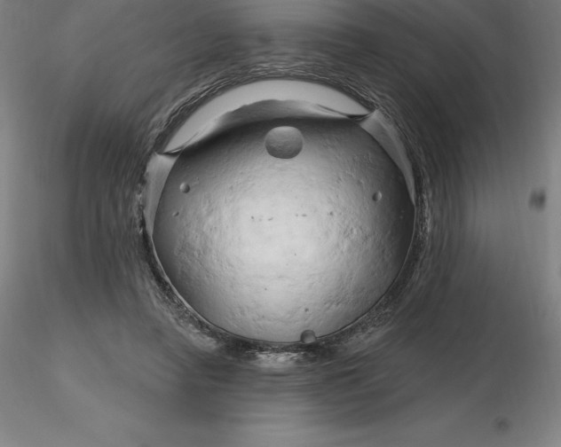 X0000116280450200912211822