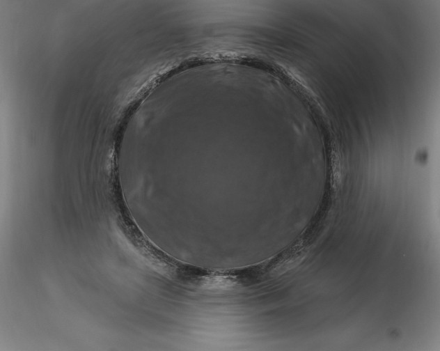 X0000116280451200912211822