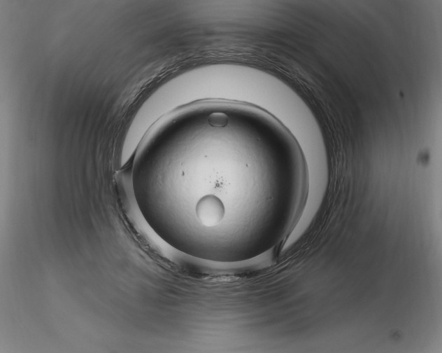 X0000116280452200912211822