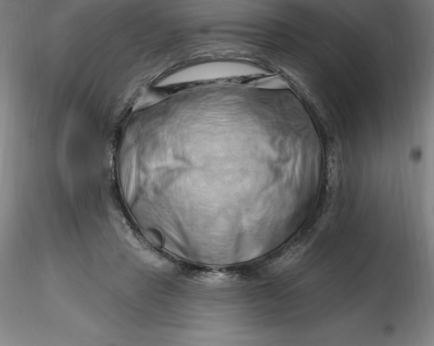 X0000116280453200912211822