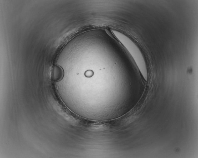 X0000116280454200912211822