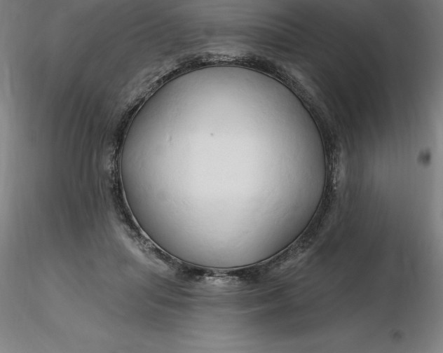 X0000116280455200912211823