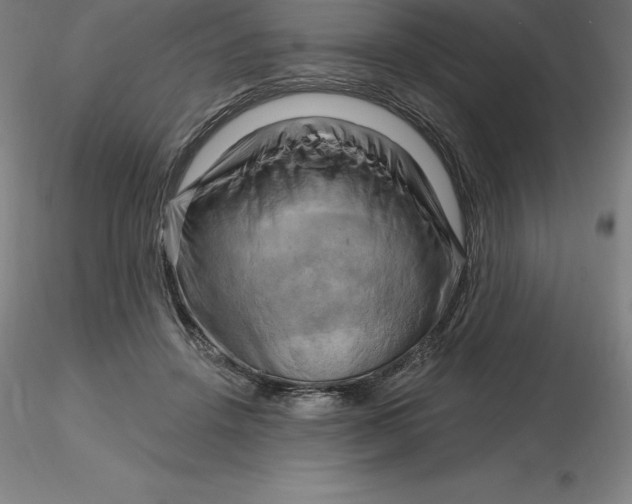 X0000116280456200912211823