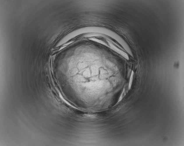 X0000116280457200912211823