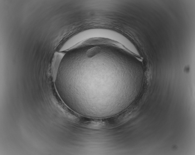 X0000116280458200912211823