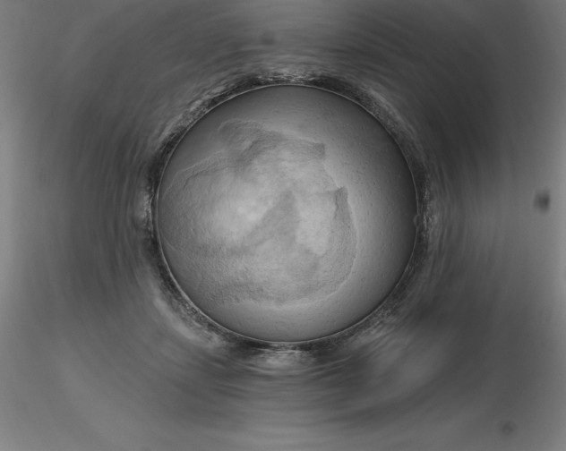 X0000116280459200912211823