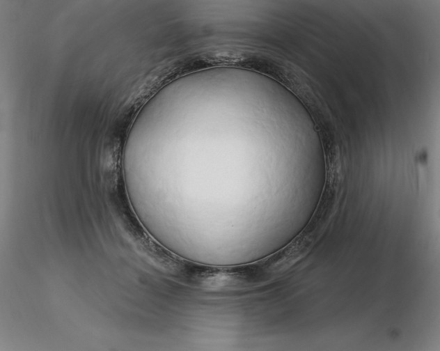 X0000116280460200912211823