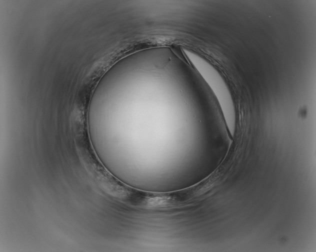 X0000116280461200912211823