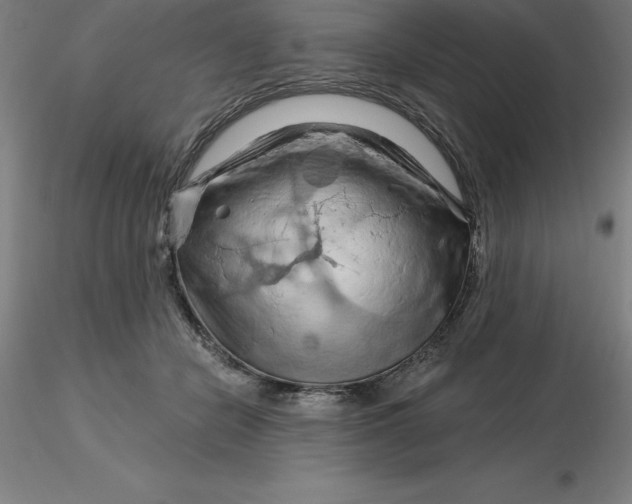 X0000116280462200912211823