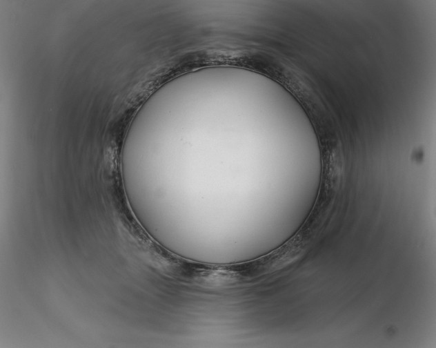 X0000116280463200912211823