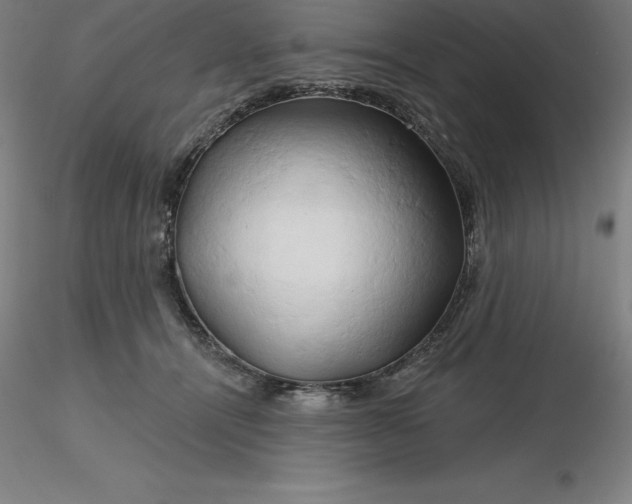 X0000116280464200912211823