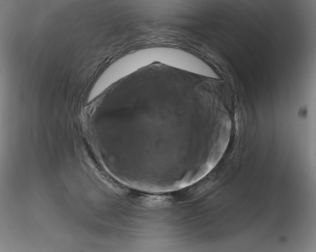 X0000116280465200912211823