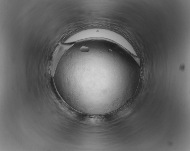 X0000116280466200912211823