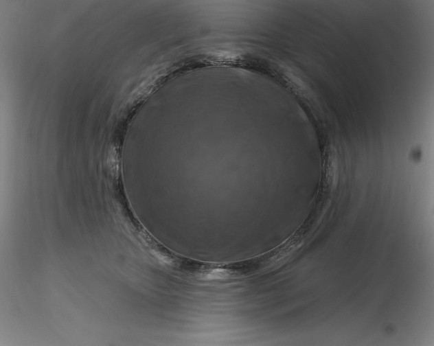 X0000116280467200912211823